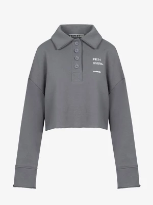 Foto van product FEMSSY Sweatshirt 'COLLAR SWEATSHIRT GREY' grijs