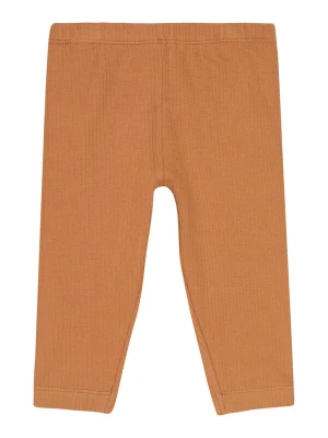 Foto van product Fixoni Leggings cappuccino