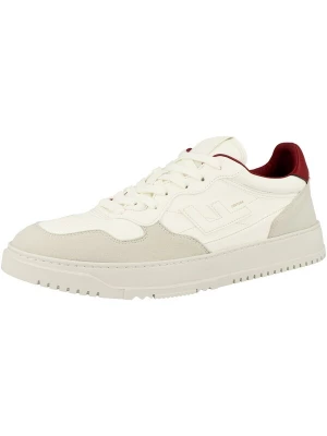 Foto van product Flamingos' Life Sneakers laag 'Ventura' bordeaux / wit / parelwit