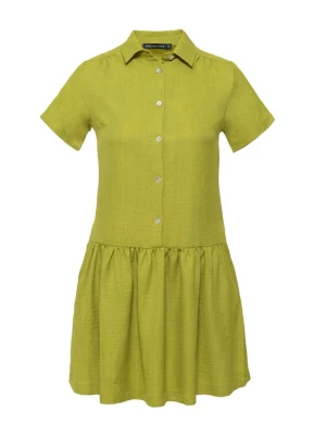 Foto van product FRESHLIONS Jurk 'Corin' groen