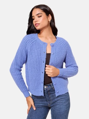 Foto van product Friends Like These Gebreid vest blauw