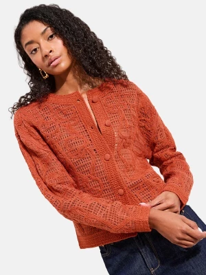 Foto van product Friends Like These Gebreid vest oranje