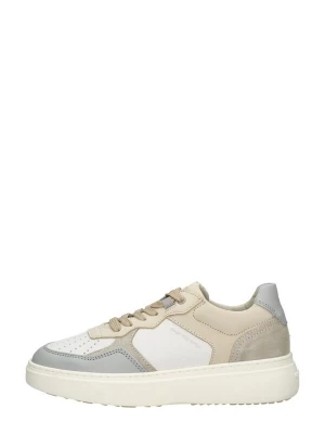 Foto van product G-STAR Veterschoen 'Lash TMB BLK W' beige