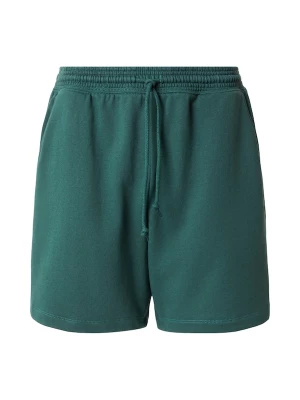 Foto van product GAP Broek smaragd