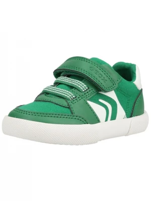 Foto van product GEOX Sneakers groen / wit