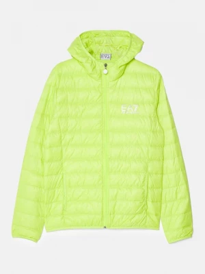 Foto van product Gewatteerde jas EA7 Emporio Armani groen
