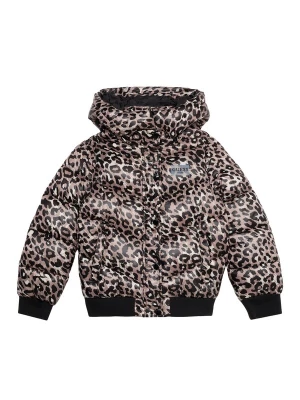 Foto van product GUESS Winterjas bruin / cappuccino / zwart
