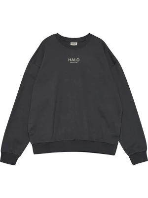 Foto van product HALO Sweatshirt taupe / donkergrijs
