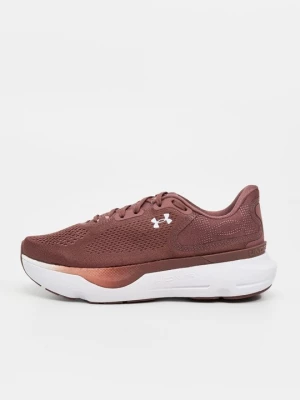 Foto van product Hardloopschoenen voor op de weg Under Armour bruin
