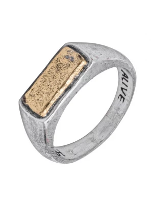 Foto van product Haze&Glory Ring 'Alive' goud / zilver