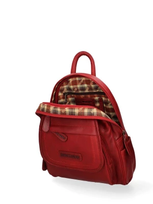 Foto van product HILL BURRY Rugzak rood