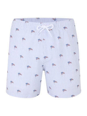 Foto van product HOLLISTER Boxershorts blauw / lichtblauw / rood / wit