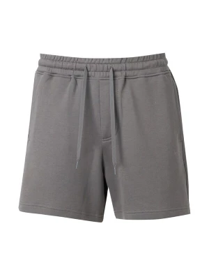 Foto van product HOLLISTER Broek grijs
