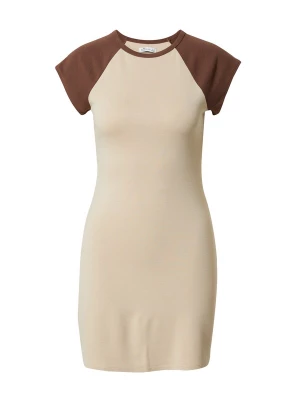 Foto van product HOLLISTER Jurk bruin / lichtbruin