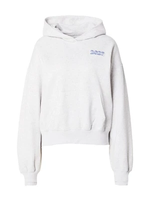 Foto van product HOLLISTER Sweatshirt grijs