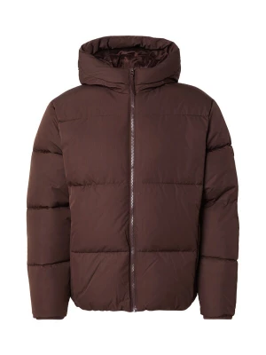 Foto van product HOLLISTER Winterjas bruin