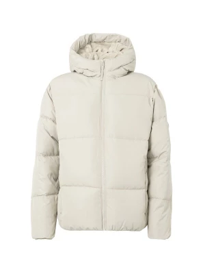 Foto van product HOLLISTER Winterjas lichtgrijs