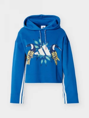 Foto van product Hoodie Adidas blauw