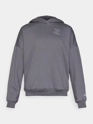 Foto van product Hoodie Adidas grijs