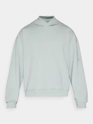 Foto van product Hoodie Adidas lichtgroen