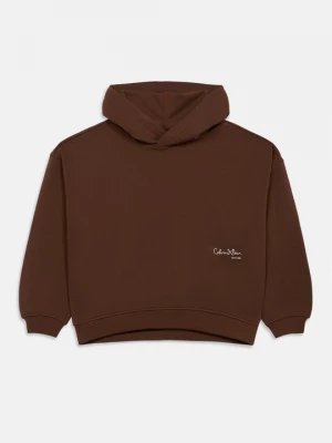 Foto van product Hoodie Calvin Klein Jeans bruin