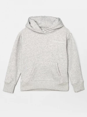 Foto van product Hoodie Champion lichtgrijs