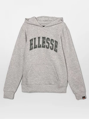 Foto van product Hoodie Ellesse grijs
