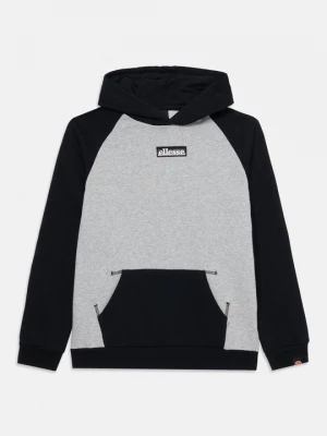Foto van product Hoodie Ellesse lichtgrijs