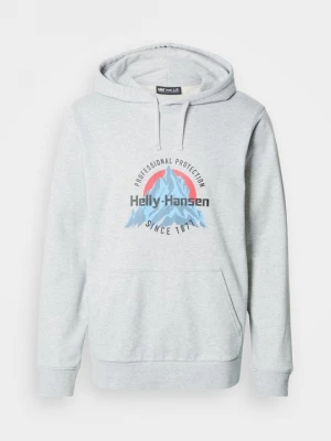 Foto van product Hoodie Helly Hansen grijs gemêleerd
