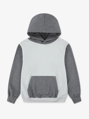 Foto van product Hoodie Jordan lichtgrijs