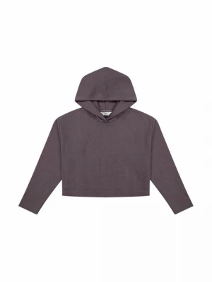 Foto van product Hoodie Lee donkerpaars