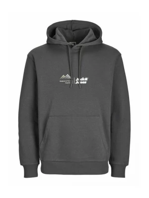 Foto van product Hoodie lindbergh grijs