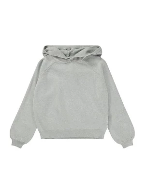 Foto van product Hoodie Molo grijs