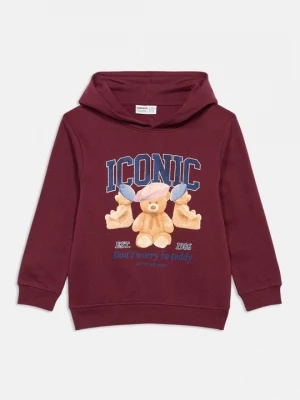 Foto van product Hoodie NAME IT bordeauxrood