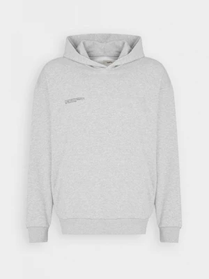 Foto van product Hoodie PANGAIA grijs