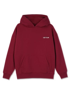 Foto van product Hoodie Pegador bordeauxrood
