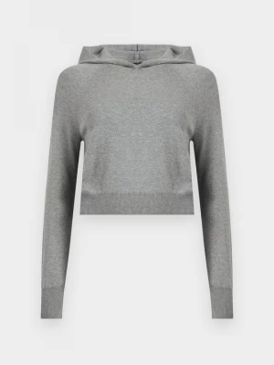 Foto van product Hoodie Replay grijs