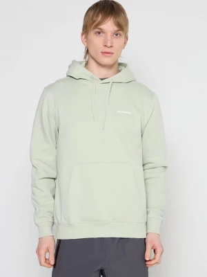 Foto van product Hoodie Salomon groen gemêleerd