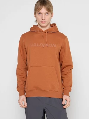 Foto van product Hoodie Salomon tan