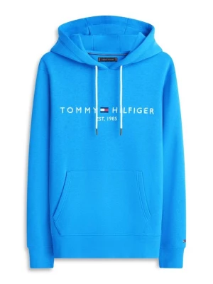Foto van product Hoodie Tommy Hilfiger blauw