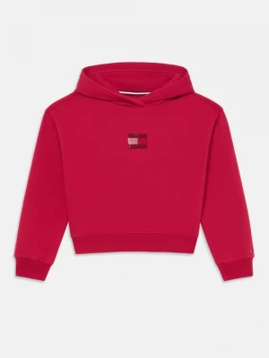Foto van product Hoodie Tommy Hilfiger rood