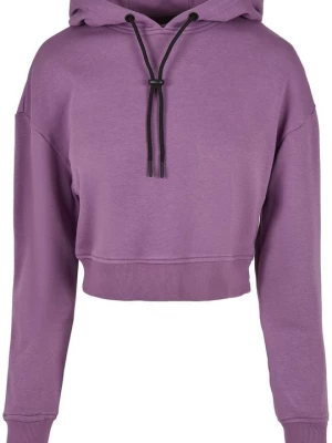 Foto van product Hoodie Urban Classics paars