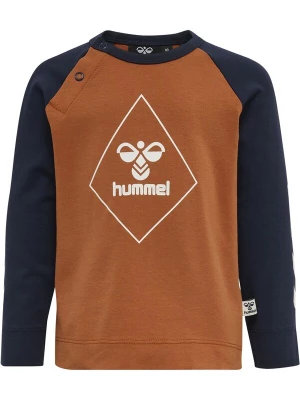 Foto van product Hummel Shirt marine / lichtbruin / wit