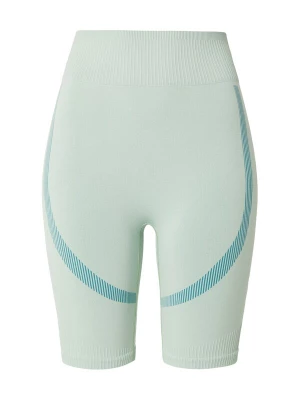 Foto van product Hummel Sportbroek petrol / pastelgroen