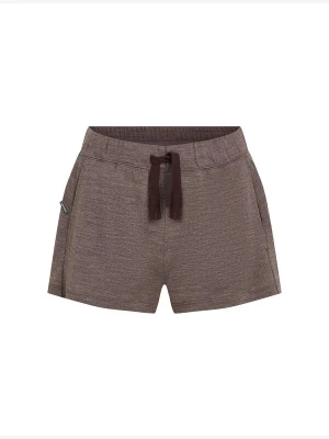 Foto van product ICEBREAKER Outdoorbroek 'Crush II' chocoladebruin