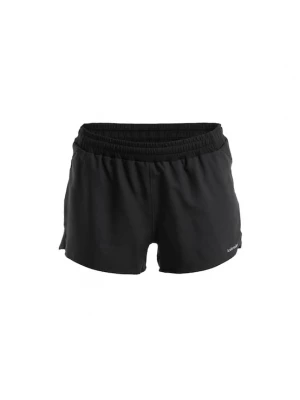 Foto van product ICEBREAKER Outdoorbroek 'Speed 3' zilvergrijs / zwart