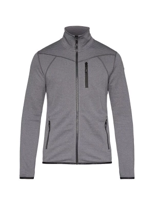 Foto van product ICEPEAK Funktionele fleece-jas 'BERTHOLD' lichtgrijs