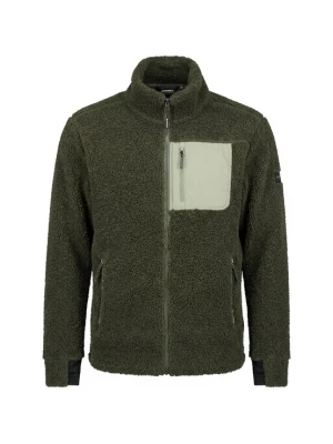 Foto van product ICEPEAK Funktionele fleece-jas 'MOHAWK' spar / pastelgroen