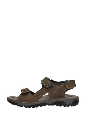 Foto van product IMAC Sandalen 'Sandalen' donkerbruin