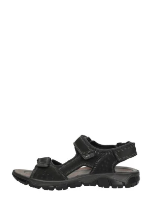 Foto van product IMAC Sandalen 'Sandalen' zwart